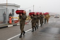RESMİ TÖREN - Ukrayna, 7 Kızıl Ordu Askerinin Naaşını Rusya'ya Teslim Etti