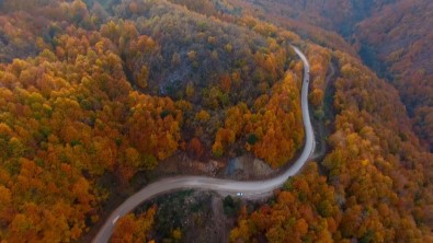 Uludağ'ın Eteklerinde Sonbahar Bir Başka Güzel!