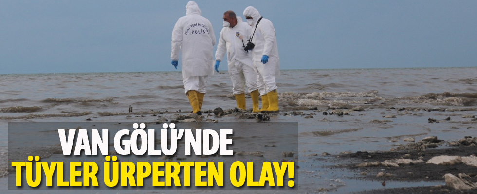 Van Gölü'nde tüyler ürperten olay