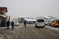 Varto'da Kar Yağışı Haberi