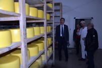 Başkan Kaya, Süt Ürünleri Fabrikasını İnceledi