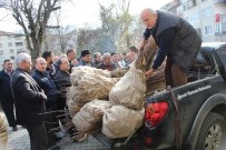 ORMAN İŞLETME MÜDÜRÜ - Devrek'te Çiftçilere Yönelik Kestane Fidanı Dağıtımı Gerçekleştirildi