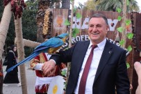 GÜNDOĞDU - Hatay, 1'İnci Gastrofest İle İzmir'e Damga Vurdu