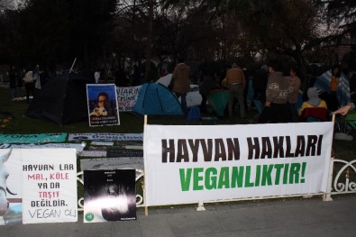 İBB Önündeki Fayton Eylemi Devam Ediyor