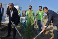 ALİ İHSAN SU - Mersin'de Uluslararası Turunçgil Kongresi Hatıra Ormanı Oluşturuldu