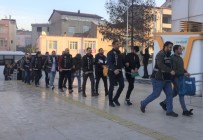 UYUŞTURUCU OPERASYONU - Ordu'daki Uyuşturucu Operasyonunda 19 Tutuklama