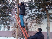 ZÜBEYDE HANıM - Sokak Hayvanları İçin Seferber Oldular