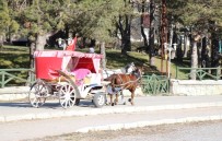 HAFTA SONU TATİLİ - Abant Tabiat Parkı'na Gelen Tatilcilerde Ruam Hastalığı Endişesi