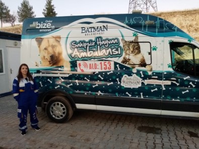 Sular Altında Kalacak Olan Hasankeyf'te Sokak Hayvanları Taşınıyor