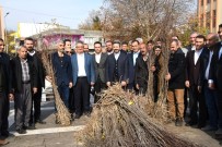 AHMET AYDIN - Adıyaman'ın Geleneksel Tarım Algısı Bademle Değişiyor