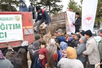 ESKİŞEHİR - Eskişehir Orman Bölge Müdürlüğü 100 Bin Ceviz Fidanı Dağıttı