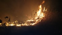 İznik Gölü Kıyısında Sazlık Yangını