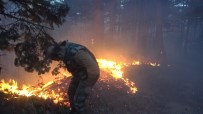 YILDIRIM DÜŞMESİ - Orman Yangını Kontrol Altına Alındı