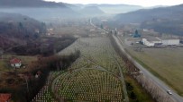 SREBRENITSA - (Özel) Srebrenitsa Annesinden Nobel Ödüllü Yazara Açıklaması 'Katliamın Kanıtı İşte Bu Mezarlık'