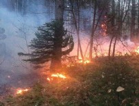 Uludağ'da orman yangını çıktı