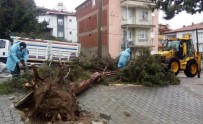 ŞİDDETLİ RÜZGAR - Denizli'de Fırtına Sonrası Temizlik Çalışmaları Başladı