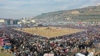 DEVE GÜREŞİ - Deve Güreşi Festivali Binlerce Aydınlıyı Bir Araya Getirdi