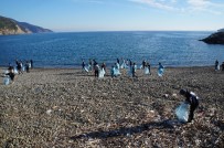 ÇEVRE TEMİZLİĞİ - Duyarlı Gençler Sahili Temizledi