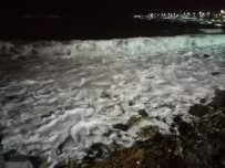 LODOS - İstanbul'da Lodos Etkili Oluyor