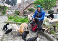 AMELIYAT - (Özel) Hayatını Hiçe Saydı, Tek Derdi Kendini Adadığı Sokak Hayvanları