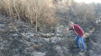 ORMAN İŞLETME MÜDÜRÜ - Samsun'da Ormanda Örtü Yangını