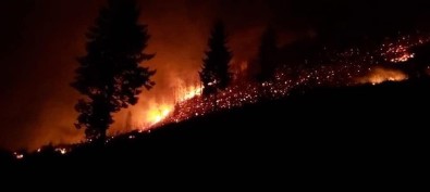 Trabzon'da Çıkan Orman Yangınları İle İlgili Valilik'ten Açıklama Yapıldı