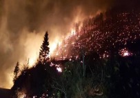 Trabzon Ve Giresun'da Orman Yangınları