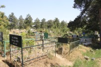 SEYRANTEPE - Van'da 12 Mezarlıktan 6'Sı Doldu