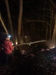 ORMAN İŞÇİSİ - Artvin'de Orman Yangını