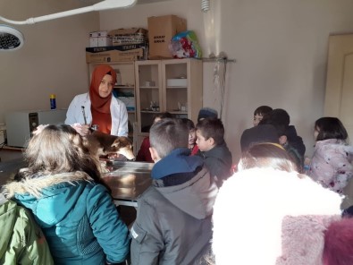 Bozüyük'te Minikler Barınaktaki Dostlarını Unutmadı