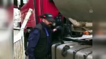 DEDEKTÖR KÖPEK - Gaziantep'te 225 Kilogram Esrar Ele Geçirildi