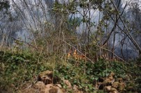 İTFAİYE MÜDÜRÜ - Giresun'da 4 Noktada Örtü Yangınları Devam Ediyor