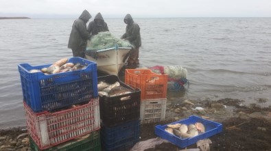 İznik Gölü, Nesli Tükenen 'Kepekleme' Balığı Kaynıyor