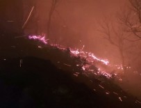 İTFAİYE ARACI - Karadeniz'deki yangınları terör örgütü üstlendi!