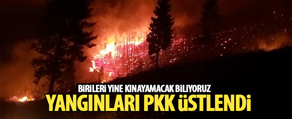 Karadeniz'deki yangınları terör örgütü üstlendi!