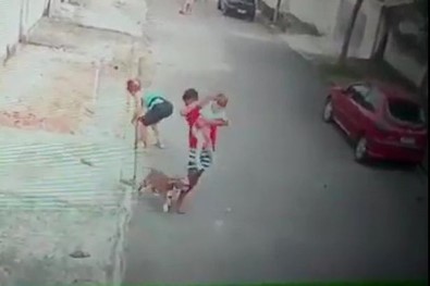 Küçük Çocuğu Pitbull Saldırısından Kurtaran Genç Kahraman İlan Edildi