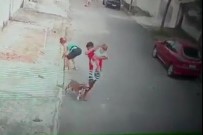 KÜÇÜK ÇOCUK - Küçük Çocuğu Pitbull Saldırısından Kurtaran Genç Kahraman İlan Edildi