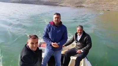 Muş'ta Baraj Gölü Balıkçıların Geçim Kaynağı Oldu