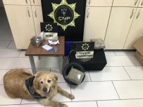 UYUŞTURUCU MADDE - Narkotik Köpeği, Hoparlörün İçinde 2 Kilogram Uyuşturucu Buldu