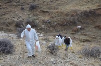 GÜMÜŞLER - Niğde'de Yeni Bir Mağara Tespit Edildi