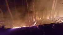 Ordu'daki Orman Yangınlarına Müdahale Sürüyor Haberi