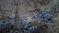 ORMANA - Ormanı Katleden Yüzlerce Lastik Görenleri Şoke Etti