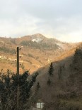 Trabzon'da Örtü Yangınları Sürüyor