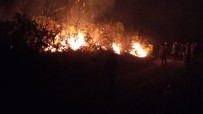 Trabzon'un Dernekpazarı İlçesi Akköse Mahallesinde De Yeni Örtü Yangını Başladı