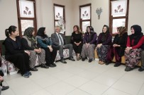 NİLÜFER - Turgay Erdem'den Çalı Çıkarması