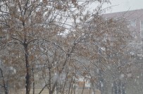 KARTOPU SAVAŞI - Ağrı'da Beklenen Kar Yağışı Başladı