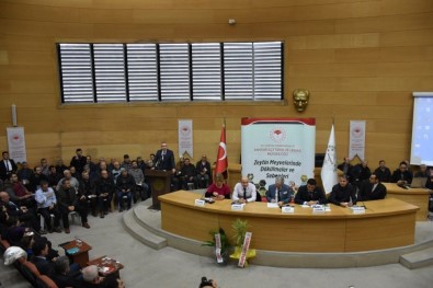 Akhisar'da 'Zeytin Hastalıkları Ve Zararlıları' Konuşuldu