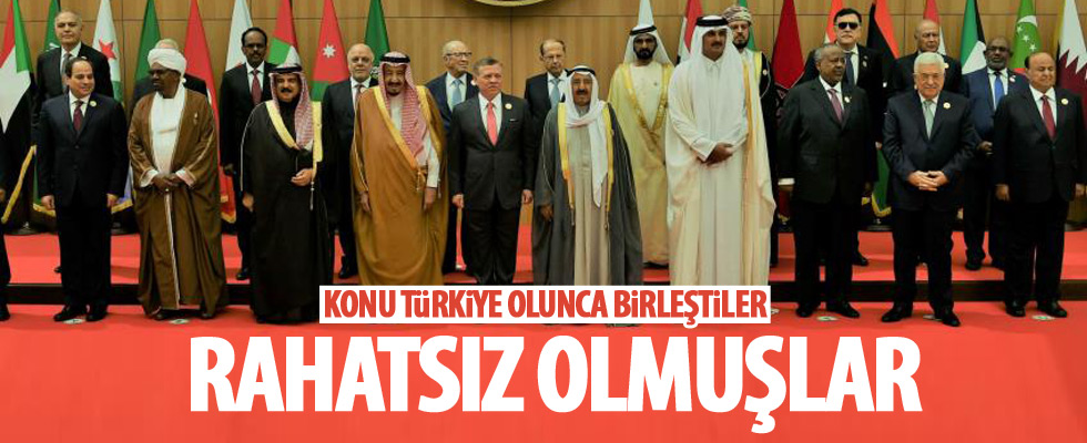 Arap Birliği, Türkiye'nin girişimlerinden rahatsız oldu!