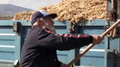 Balıkesir'i Yıllarca Mesken Tutan Don Kazakları'ndan Yavarko Baran'ın Aile Özlemi