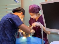 TOPLU İĞNE - Dr. Osman Çetin Açıklaması 'Çenede Görülen Tümör Ve Kistler, Diş Çürüklerinden Kaynaklanabilir'